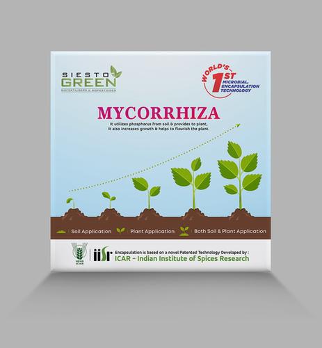 Mycorrhiza