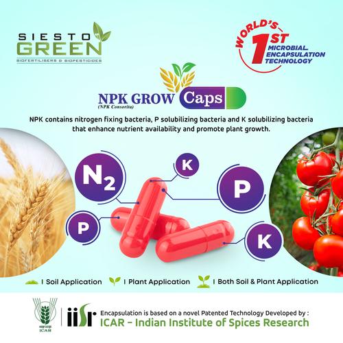 NPK grow