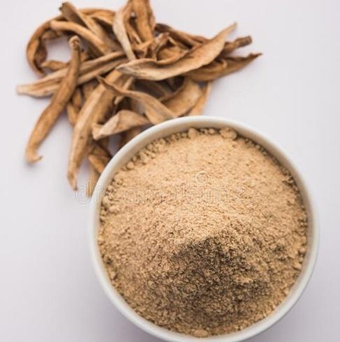 Amchoor Powder