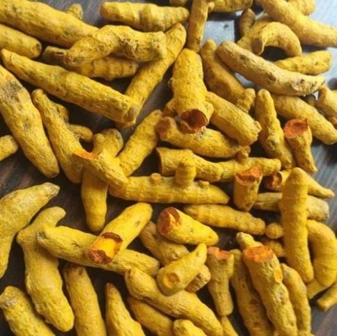 Fresh Turmeric Finger