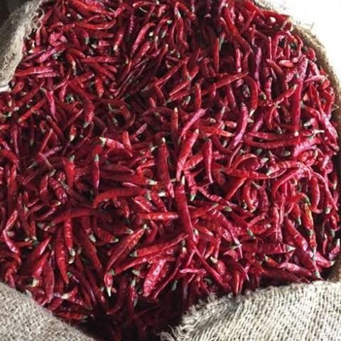 Natural Dry Red Chilli