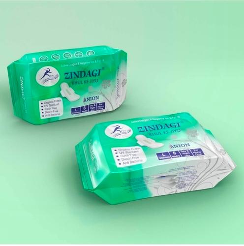 PASV ZINDAGI SANITARY L Size (240)MM