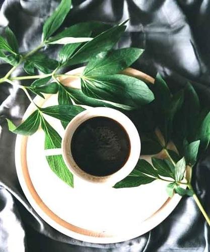 Tea & Coffee Extracts