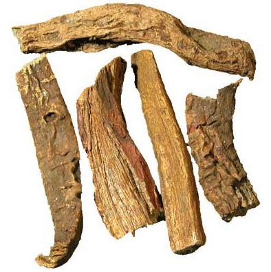 Natural Revand Chini