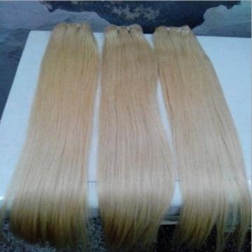 Ombre Human Hair Extensions