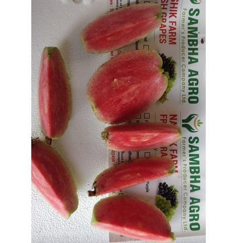 Red Guava
