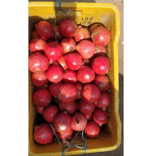 Pomegranates