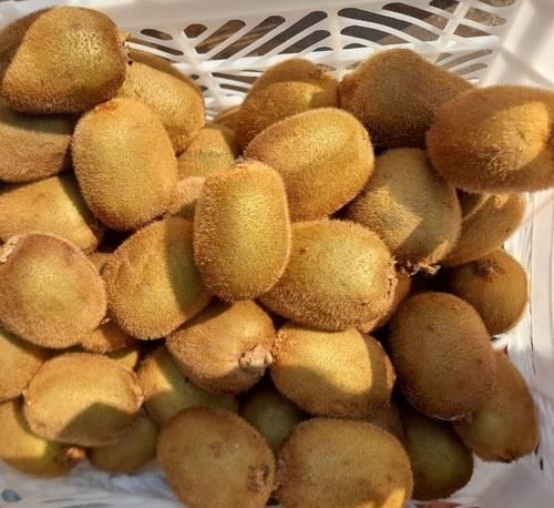 Kiwi - Dried