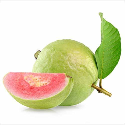 Fresh Red Guava