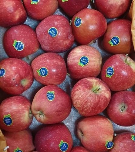 Fresh Apple