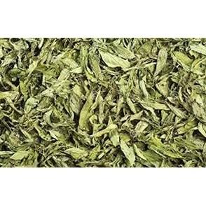 Stevia Rebaudiana