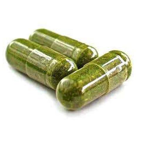 Azadirachta Indica Capsules