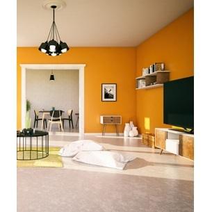 Interior Wall Finish