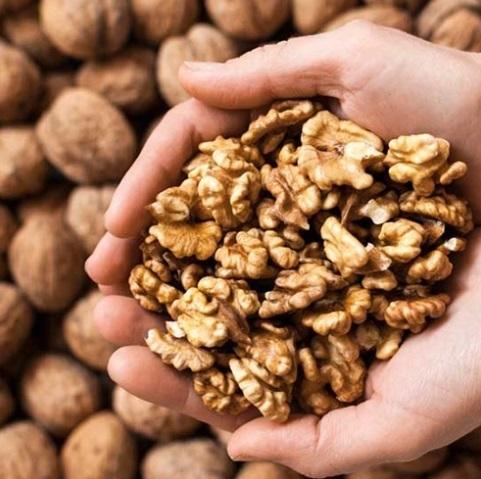 Walnut Kernel