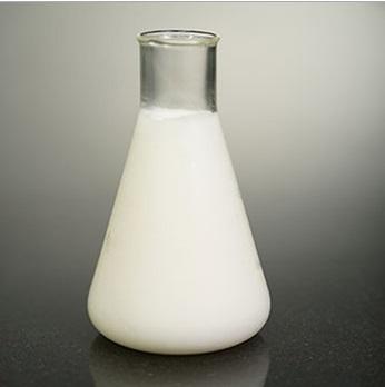 Palm Oil and Palm Kernel Oil Products