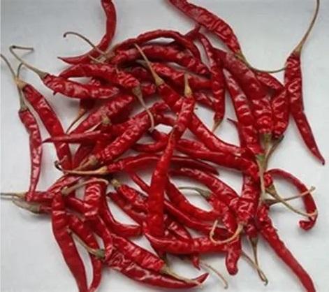 TEJA MIRCHI