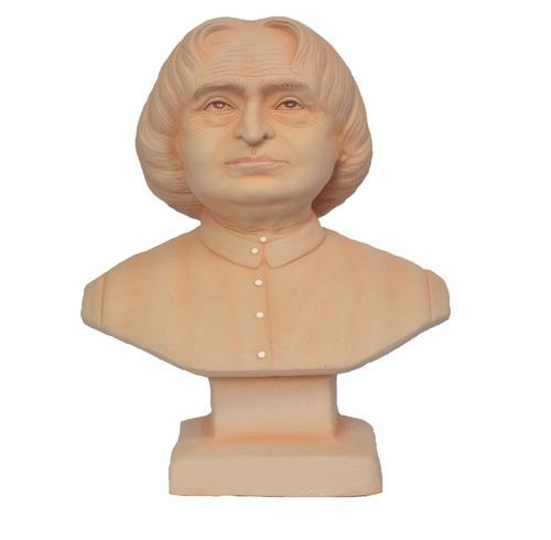 APJ Abdul Kalam
