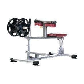 PPL-955 Seated Calf Machine