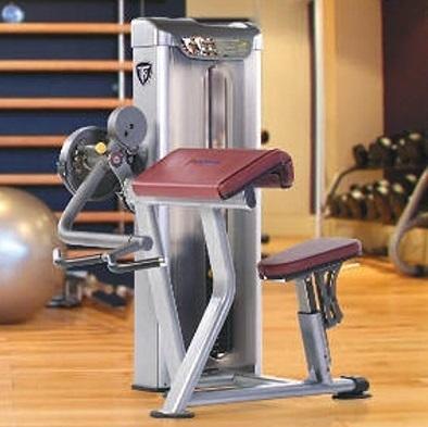 PPD-804 Biceps Triceps Machine