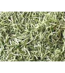 White Tea