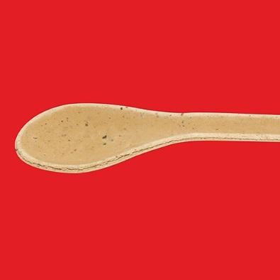 Masala Edible Spoon