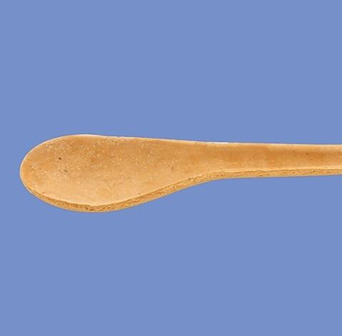 Plain Edible Spoon