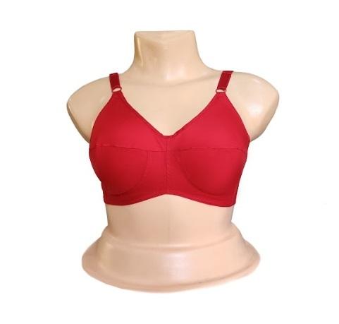 Teenager Maroon Bra