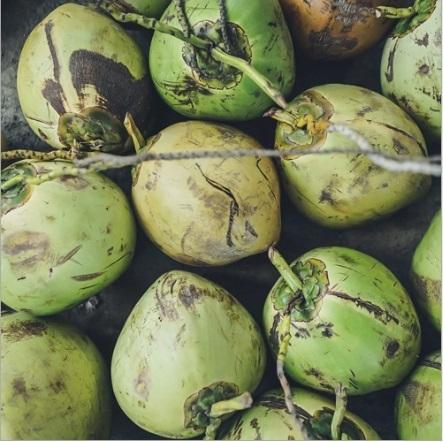 Pure Coconut