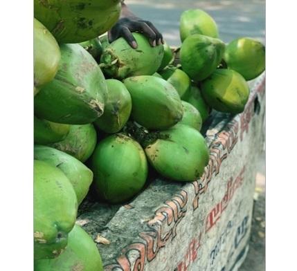 Green Coconut