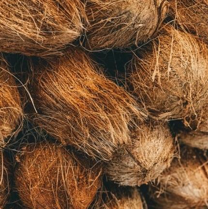 Husk Coconut