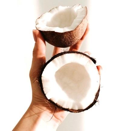 Solid Coconut