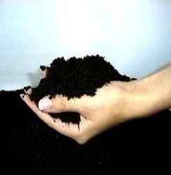 Bio Humus Fertilizer