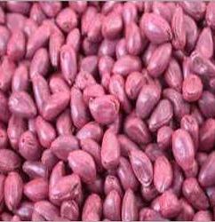 Seed Coating Polymer