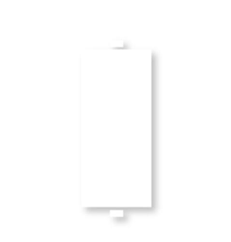 Dummy Blank Plate (plain patti)