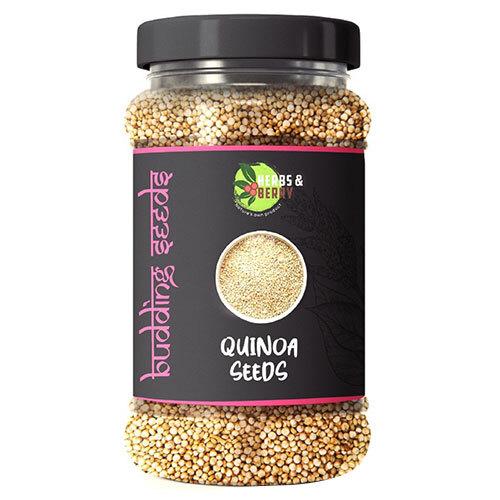 Quinoa Seeds