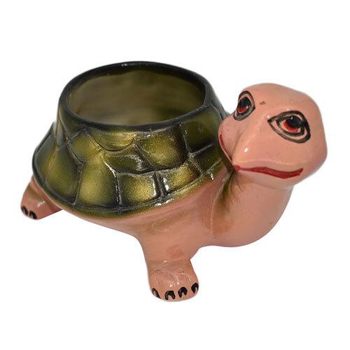 Cute Tortoise