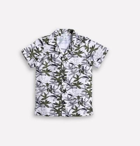 Tropical