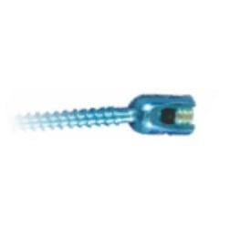 One Lock Poly Sacral Screw (Tit)