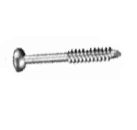 Malleolar Screw
