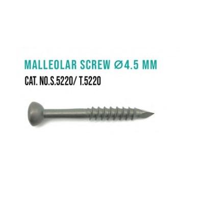 MALLEOLAR SCREW
