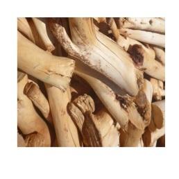 African Sandalwood Oil