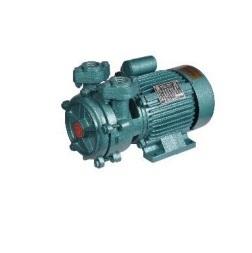 Domestic Pumps