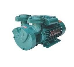 Domestic Pumps