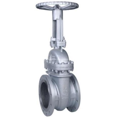 40mm SS Gate Valve