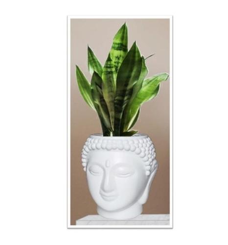 Buddha Pot