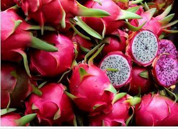 Dragon Fruits