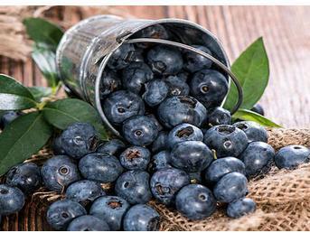 Blueberry