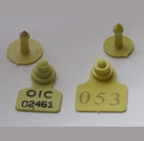 Plastic Ear Tags