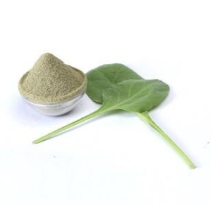 Palak Powder