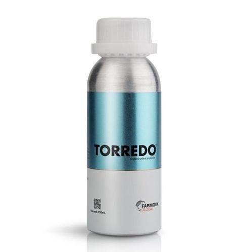TORREDO